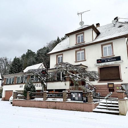 Au Wachtfels Bed and Breakfast Obersteinbach Eksteriør billede