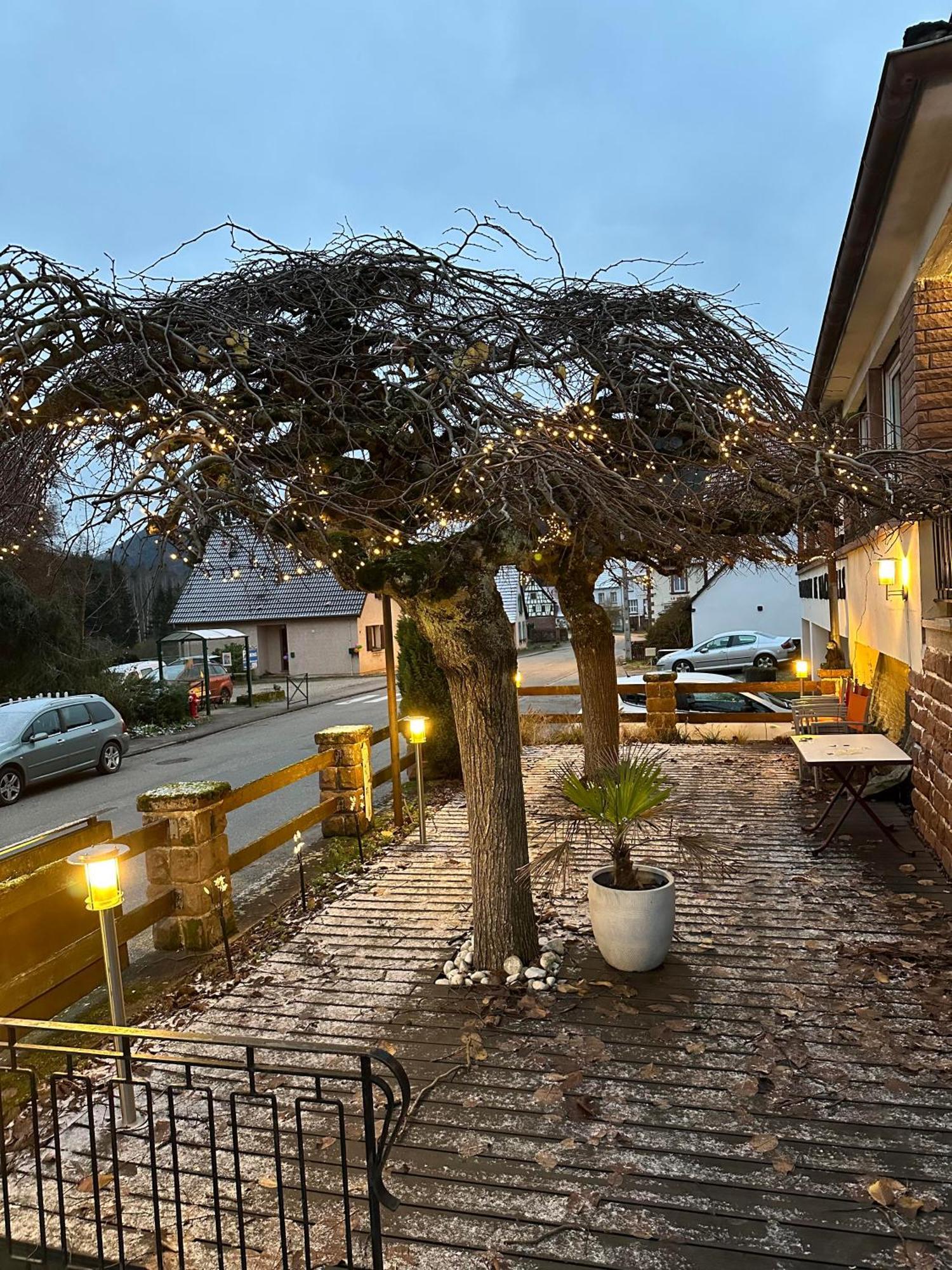 Au Wachtfels Bed and Breakfast Obersteinbach Eksteriør billede